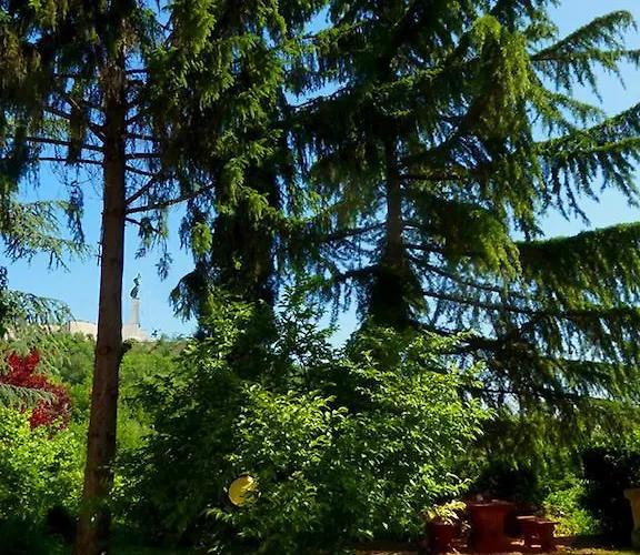 Citadella Bed & Breakfast